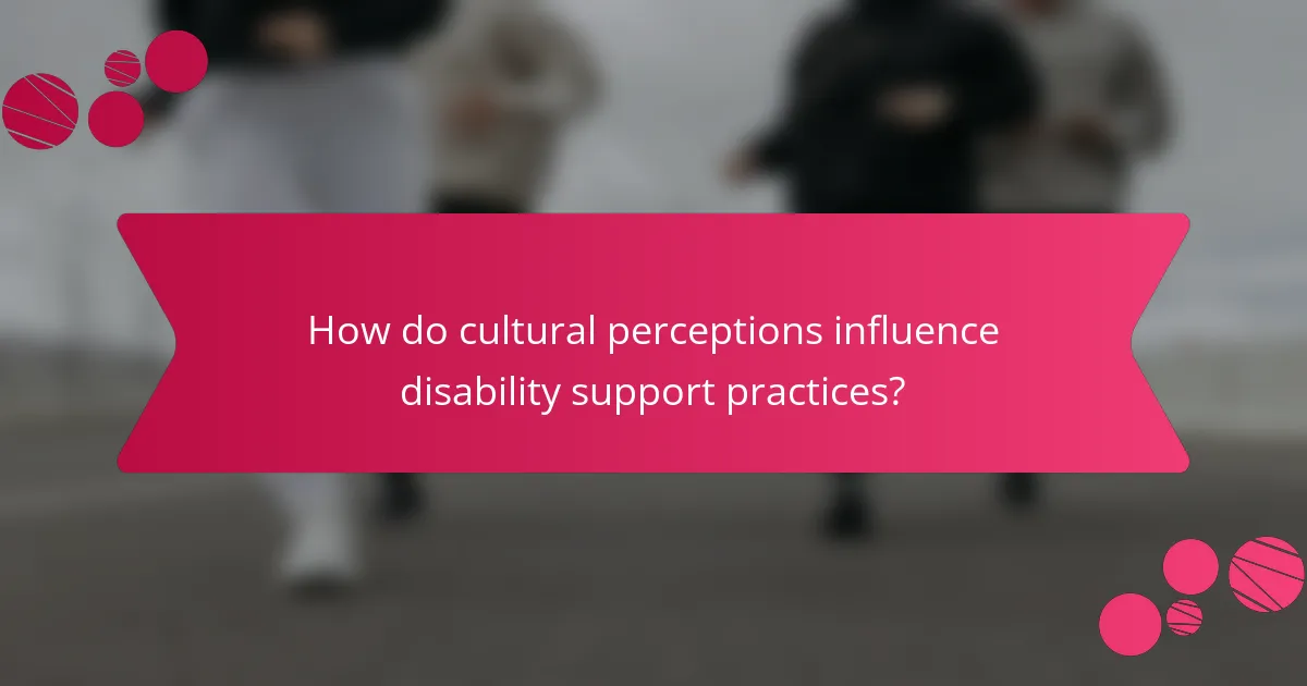 How do cultural perceptions influence disability support practices?